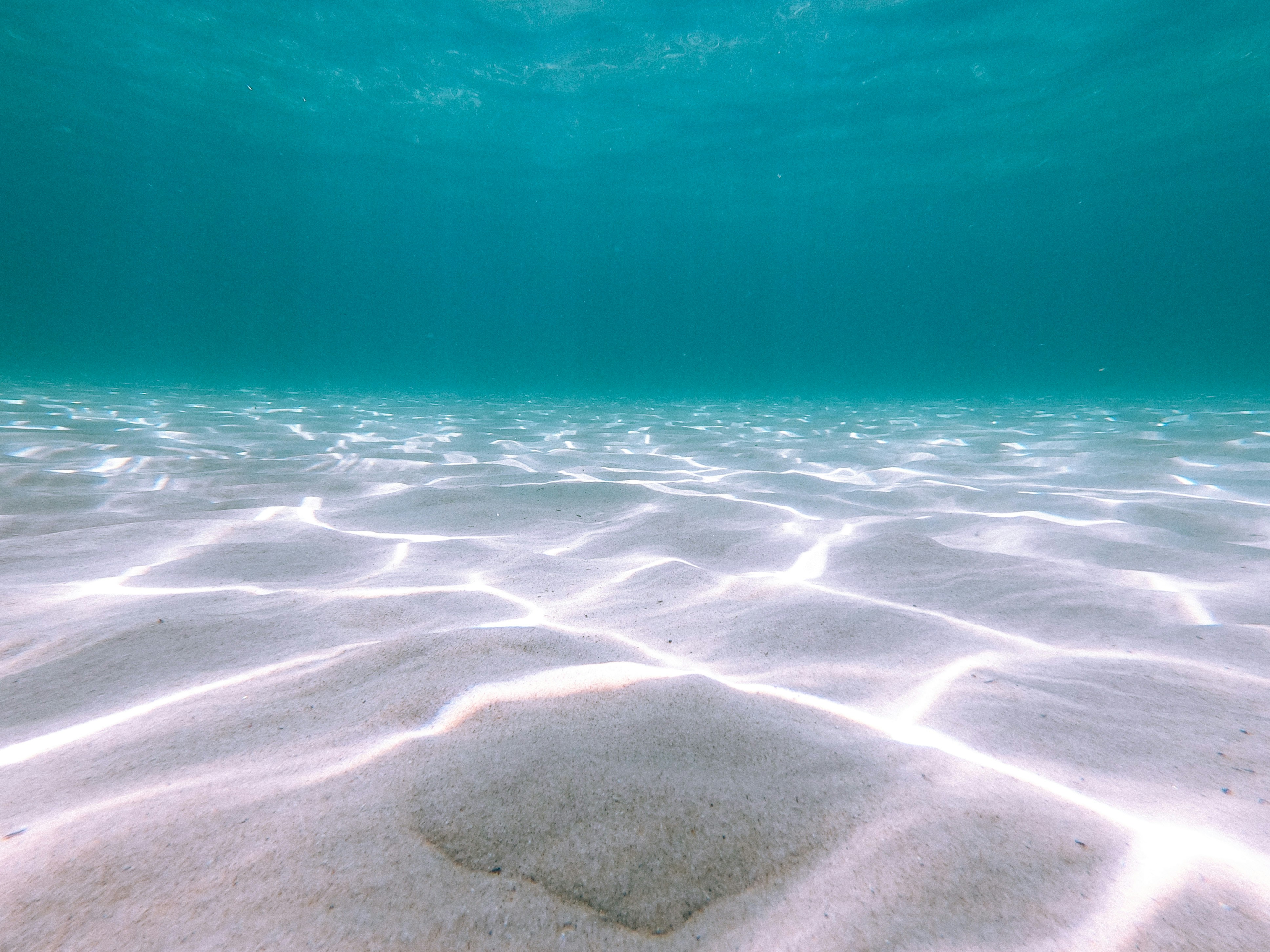 Tranquil underwater scene with sunlight filtering through